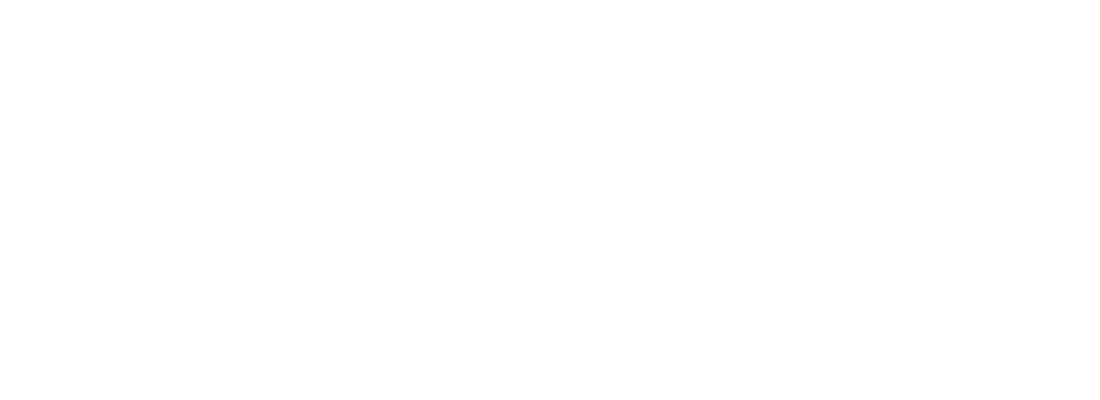 bioventrix