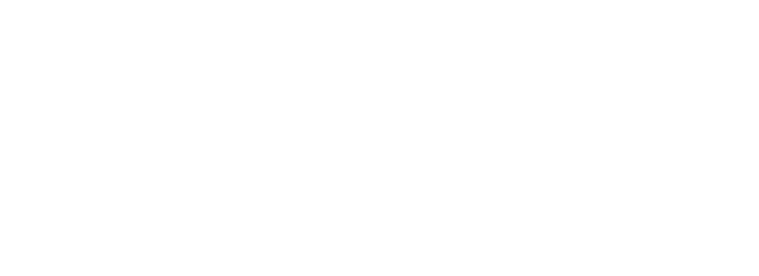 centinel
