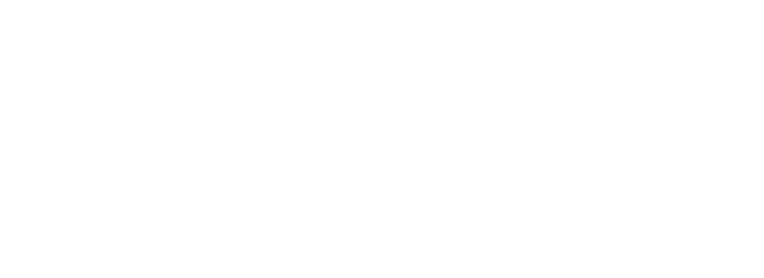 nanovis
