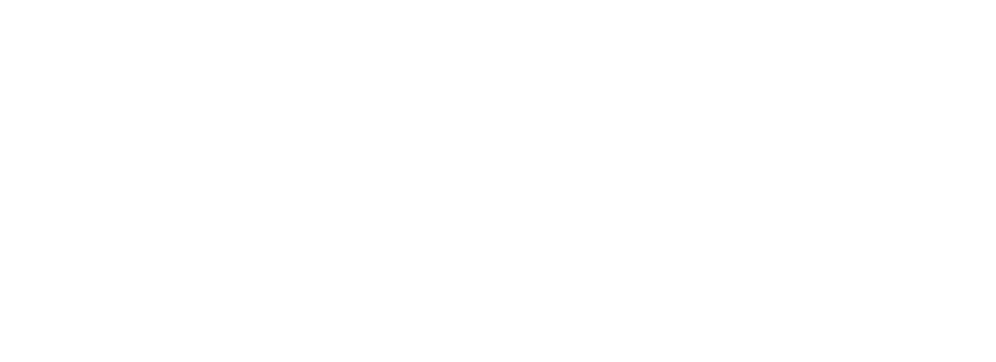 vsurgic